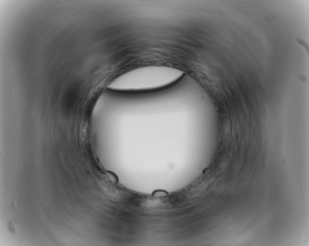 X0000095910177200801110835