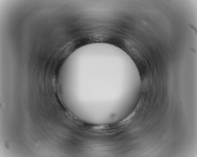 X0000095910178200801110835
