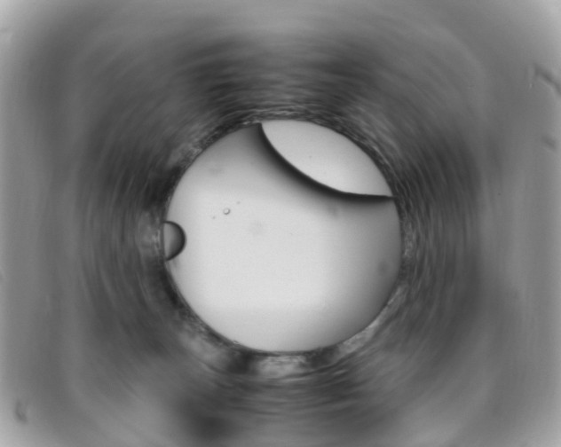 X0000095910179200801110835