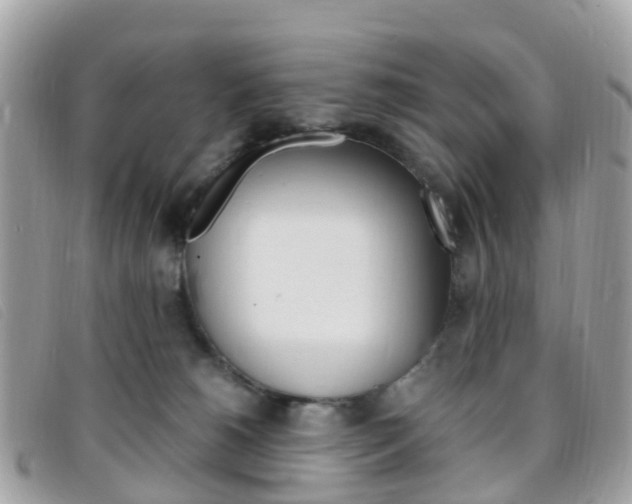 X0000095910180200801110835