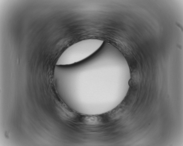 X0000095910181200801110836