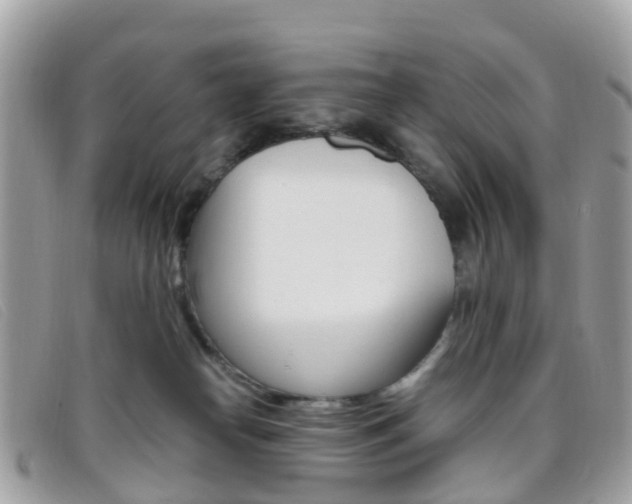 X0000095910182200801110836