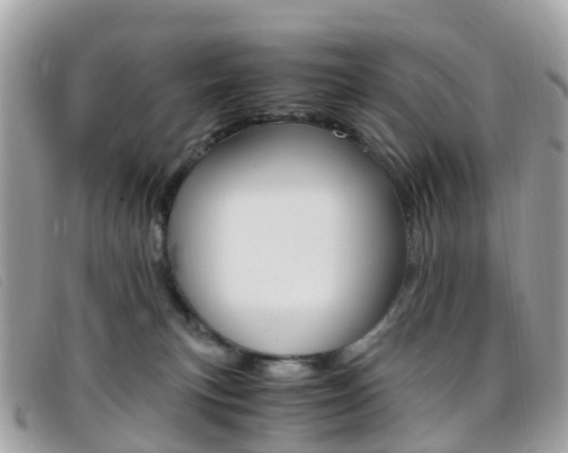X0000095910183200801110836