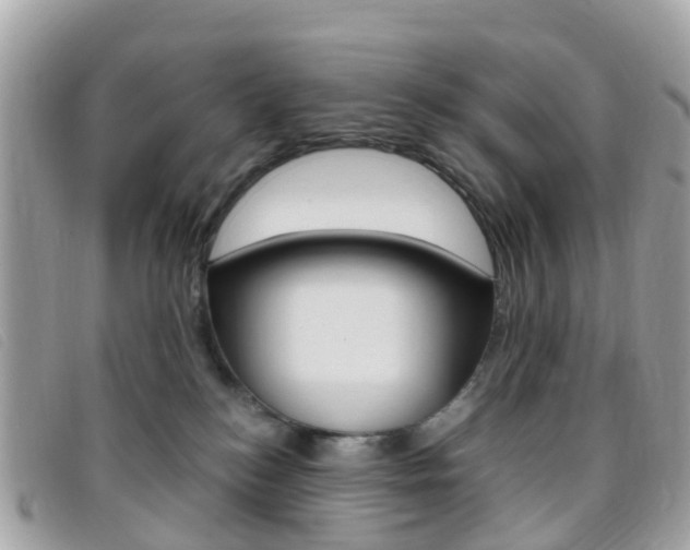 X0000095910184200801110836
