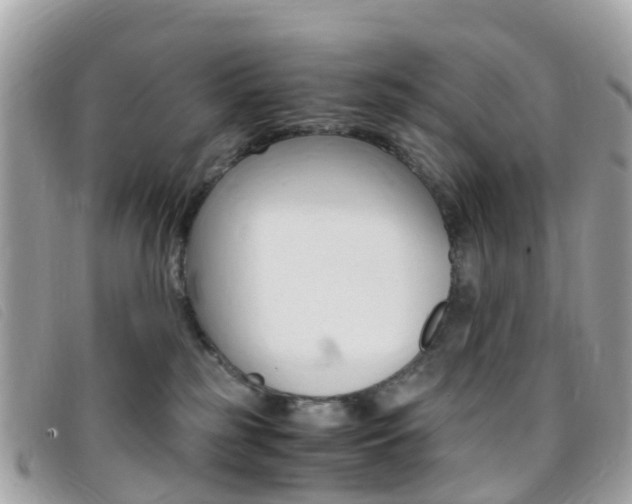 X0000095910185200801110836