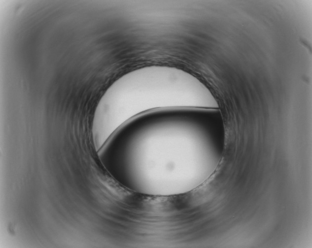 X0000095910186200801110836