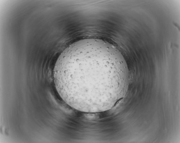 X0000095910187200801110836