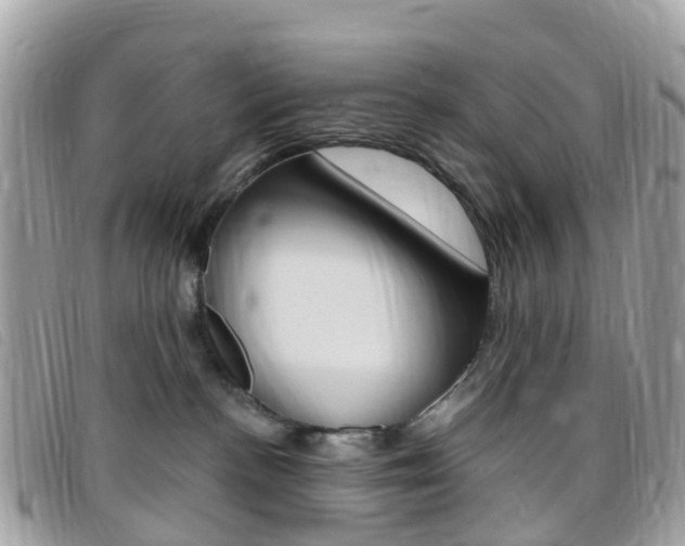 X0000095910188200801110836