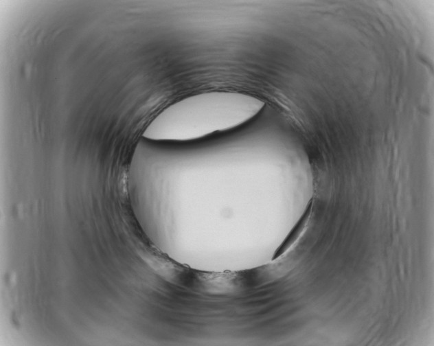 X0000095910191200801110836