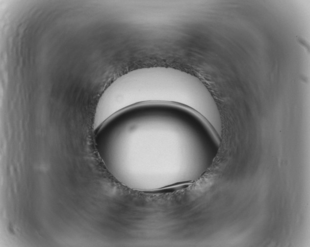 X0000095910192200801110836