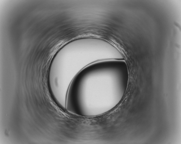 X0000095910193200801110835
