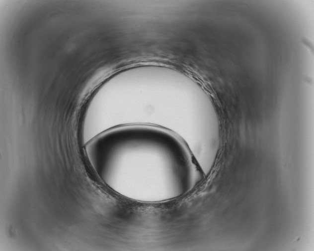 X0000095910197200801110835