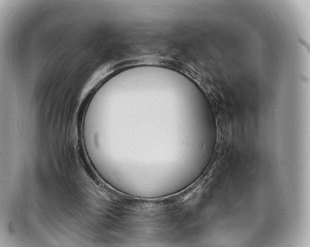 X0000095910198200801110835