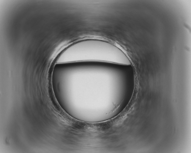 X0000095910199200801110835