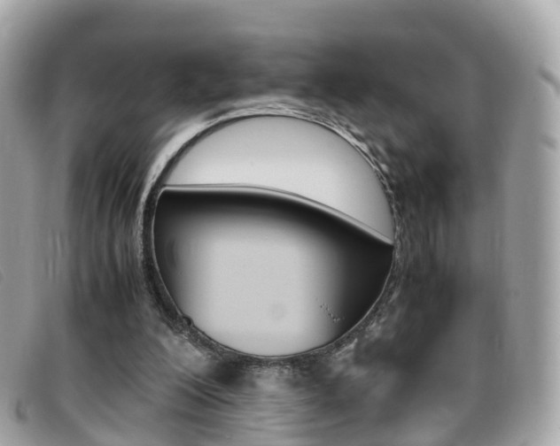 X0000095910200200801110835