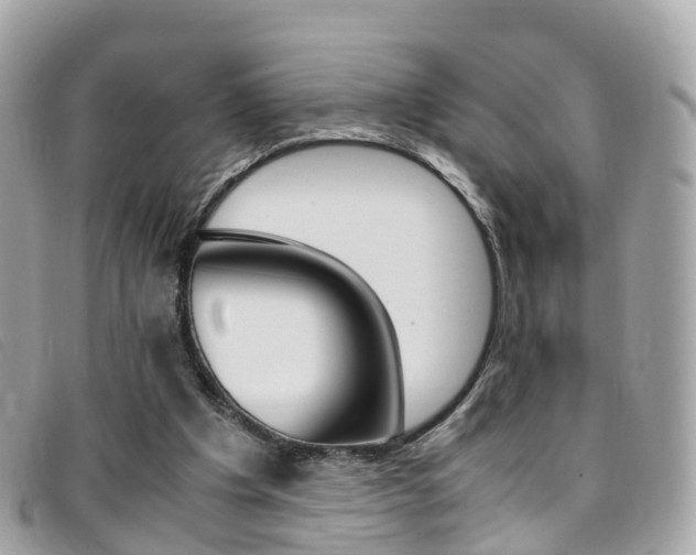 X0000095910201200801110835
