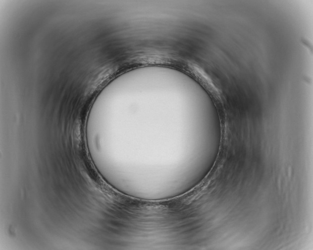 X0000095910202200801110835