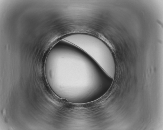 X0000095910203200801110835