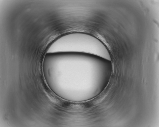 X0000095910205200801110835