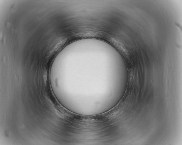 X0000095910206200801110835