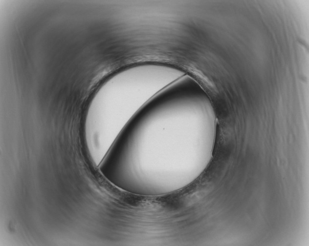 X0000095910207200801110835