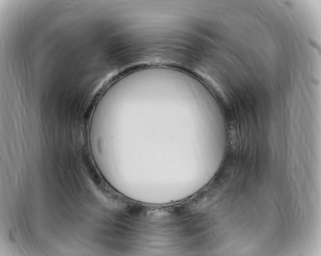 X0000095910208200801110835