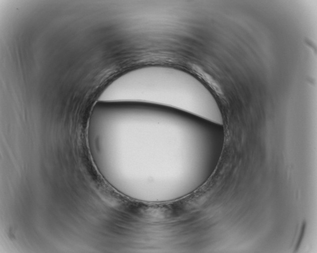 X0000095910209200801110835