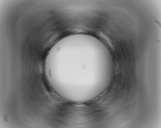 X0000095910210200801110835