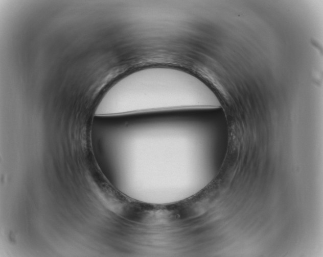 X0000095910212200801110835