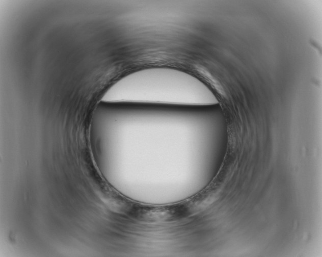 X0000095910213200801110835
