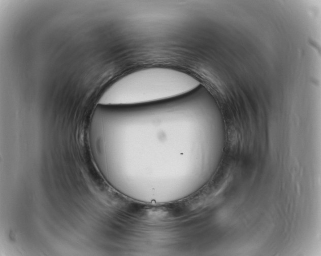 X0000095910214200801110835