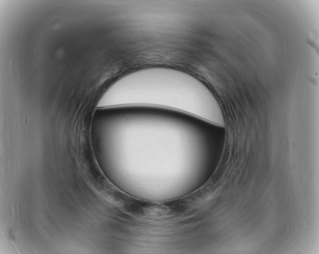 X0000095910215200801110835