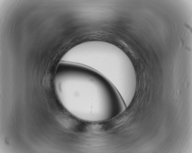 X0000095910217200801110835