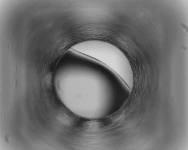 X0000095910219200801110835
