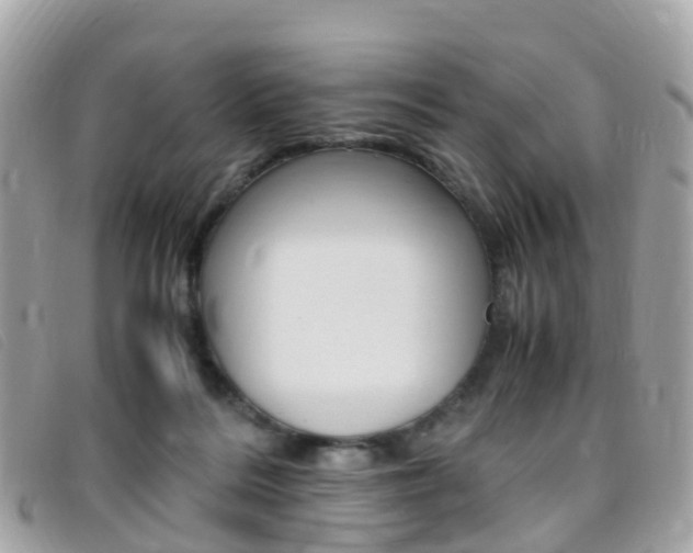 X0000095910220200801110835