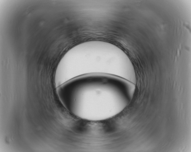 X0000095910221200801110835
