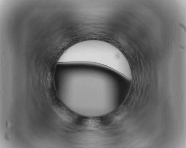 X0000095910223200801110835