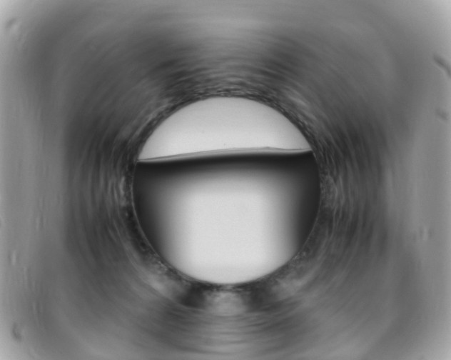 X0000095910224200801110835