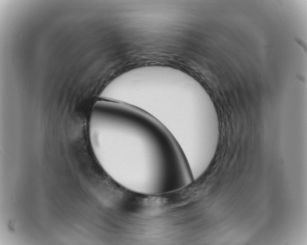 X0000095910225200801110835