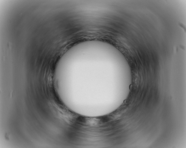 X0000095910226200801110835