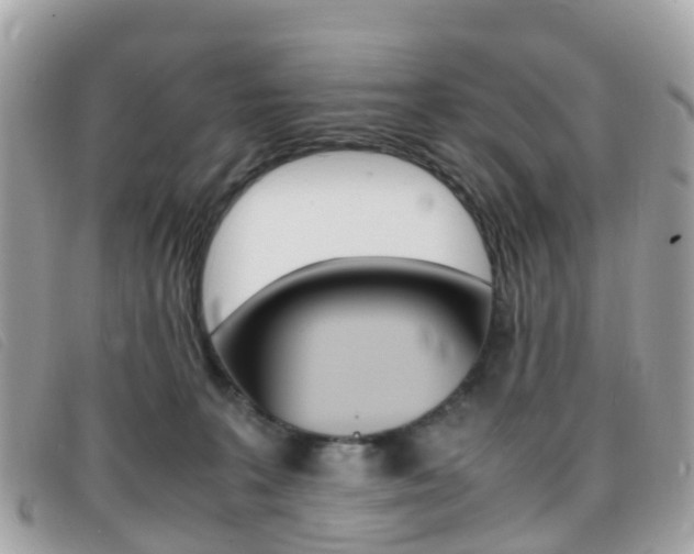 X0000095910227200801110835