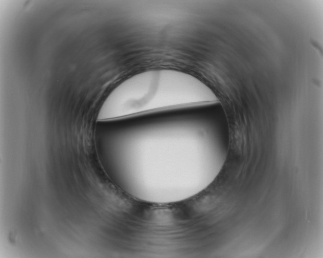 X0000095910228200801110835