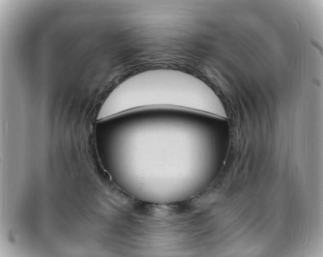 X0000095910229200801110835