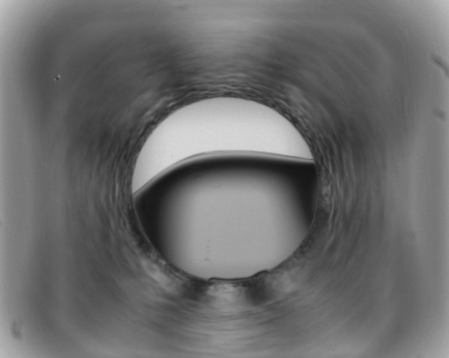 X0000095910231200801110834