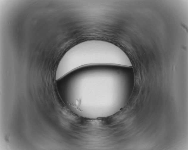 X0000095910233200801110834
