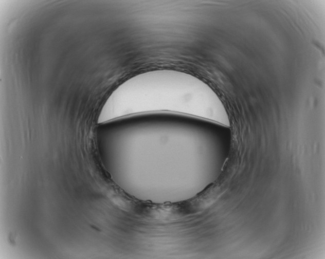 X0000095910235200801110834
