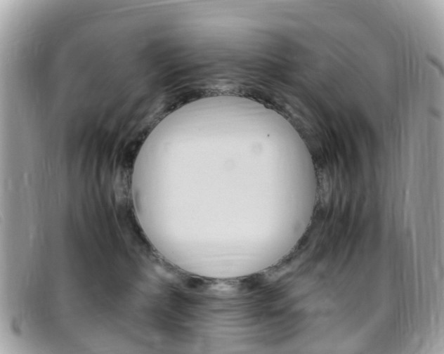 X0000095910236200801110834