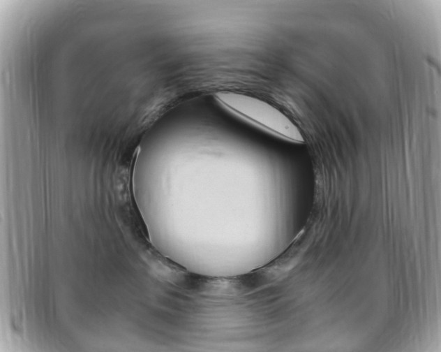 X0000095910237200801110834