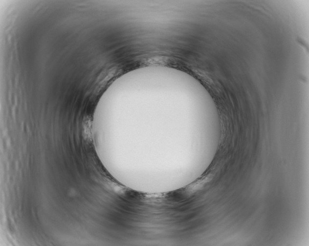 X0000095910240200801110834
