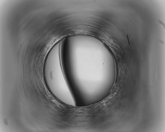 X0000095910241200801110834